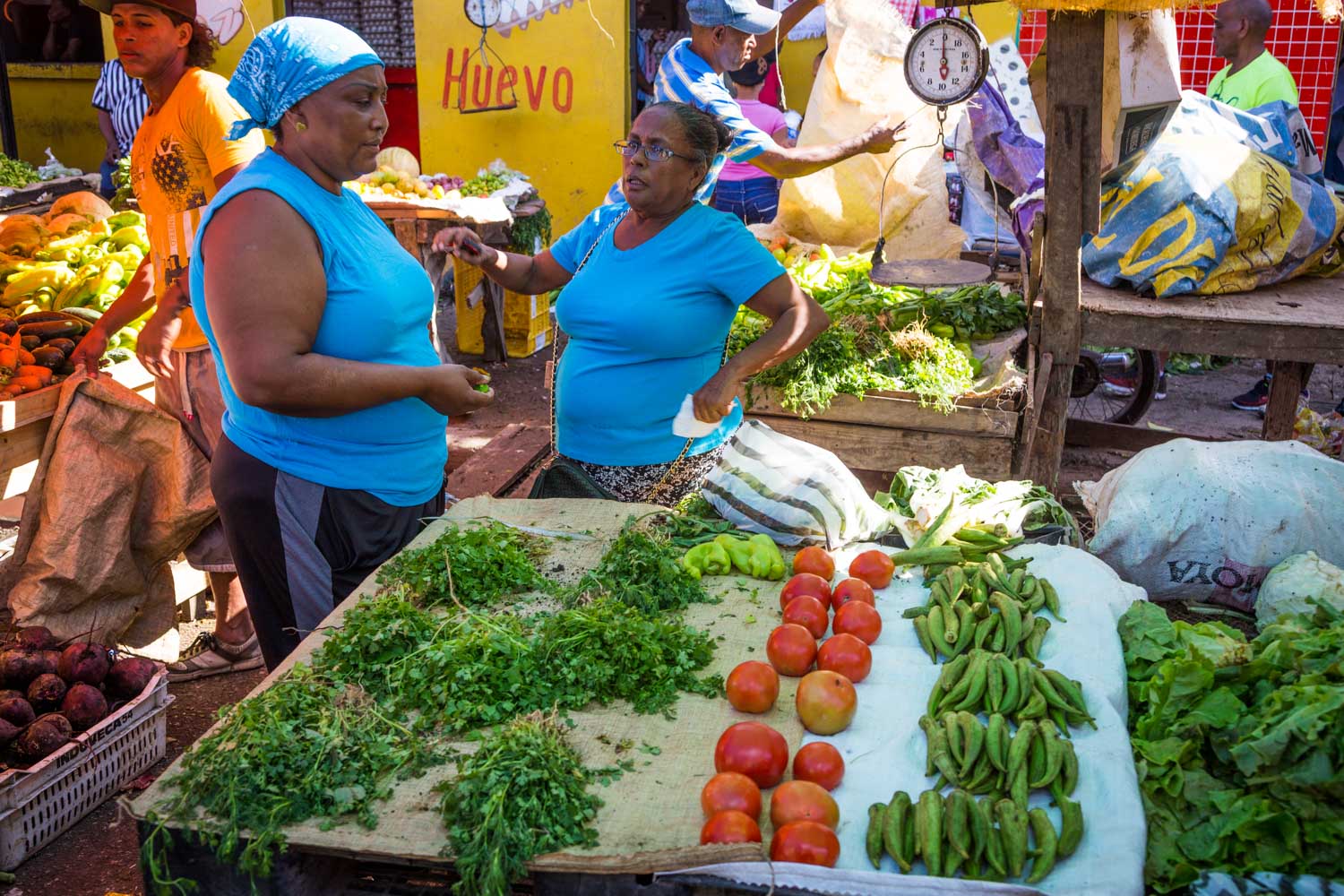 Women in blue shirts chatting at a vibrant vegetable stall with tomatoes, greens, and peppers at an outdoor market.