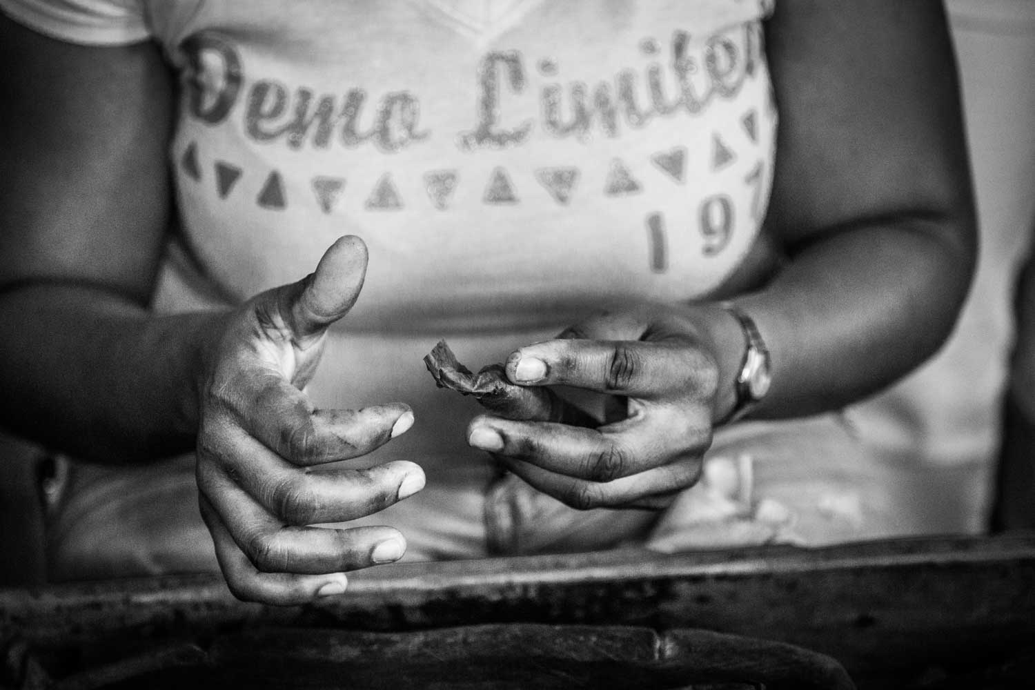 Hands crafting with tobacco leaves, focus on skilled fingers, wearing a 'Demo Limited 197' shirt. Black and white photo.