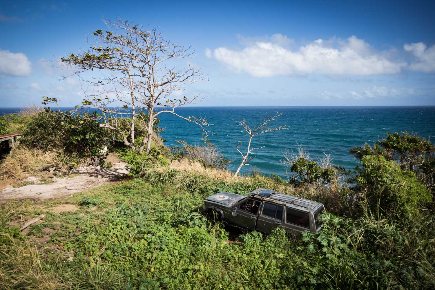 Abandoned SUV in lush coastal greenery with a clear blue ocean and sky background.