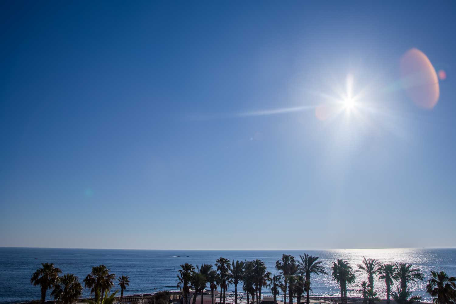 Bright sun over a tranquil ocean with palm trees silhouetted against a clear blue sky.