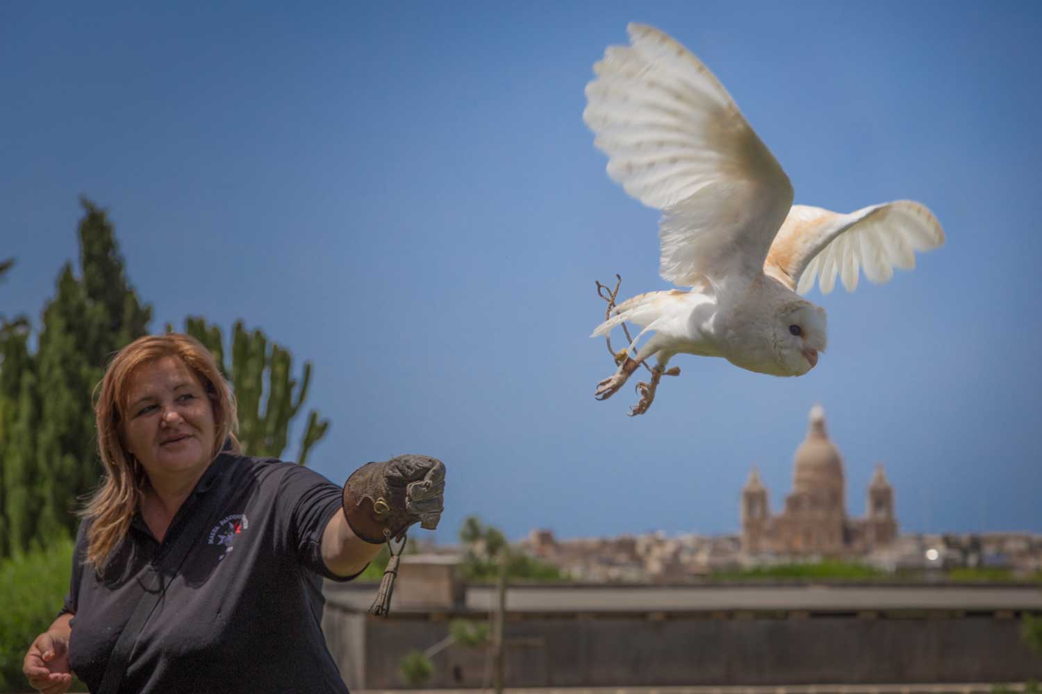 Woman in gloves releases a barn owl into flight, with historic domed building in the background.