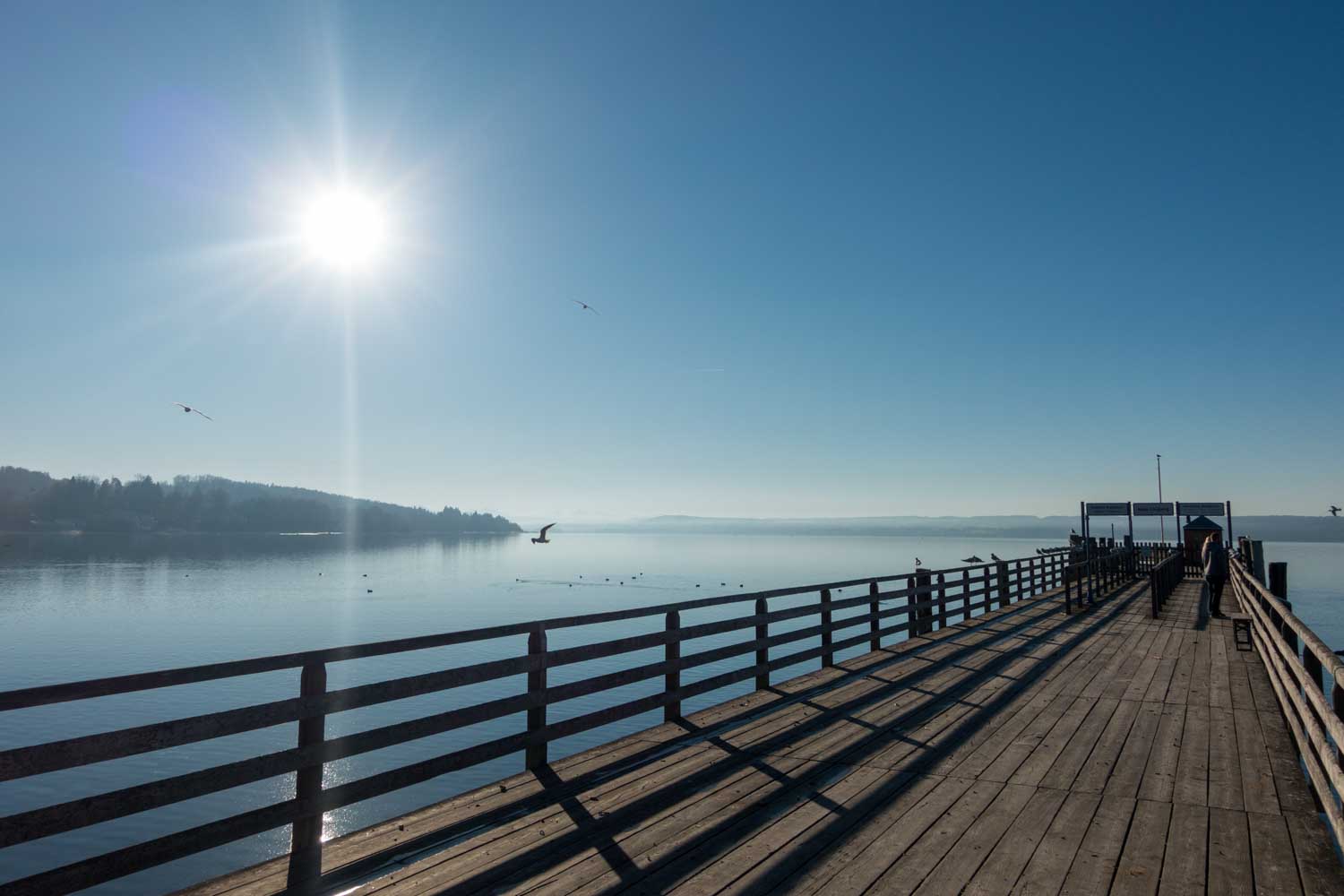 Sunlit pier extending over calm lake with birds flying, clear blue sky, and distant tree-lined shore.