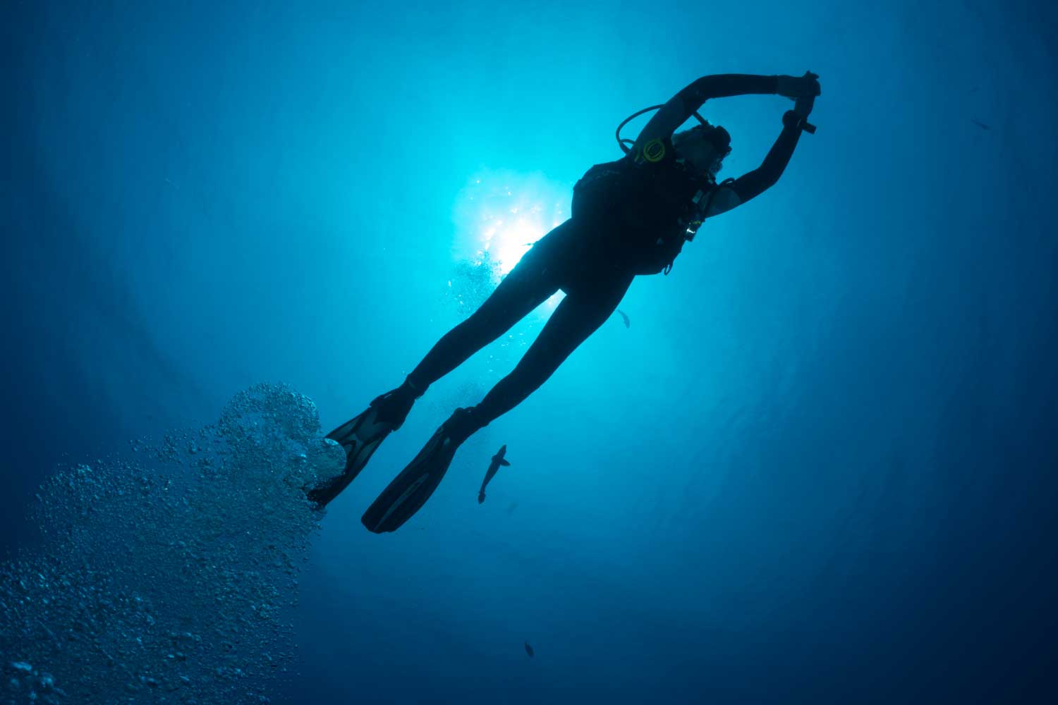 Scuba diver ascending underwater with sunlight filtering through the ocean, surrounded by bubbles and a distant fish.