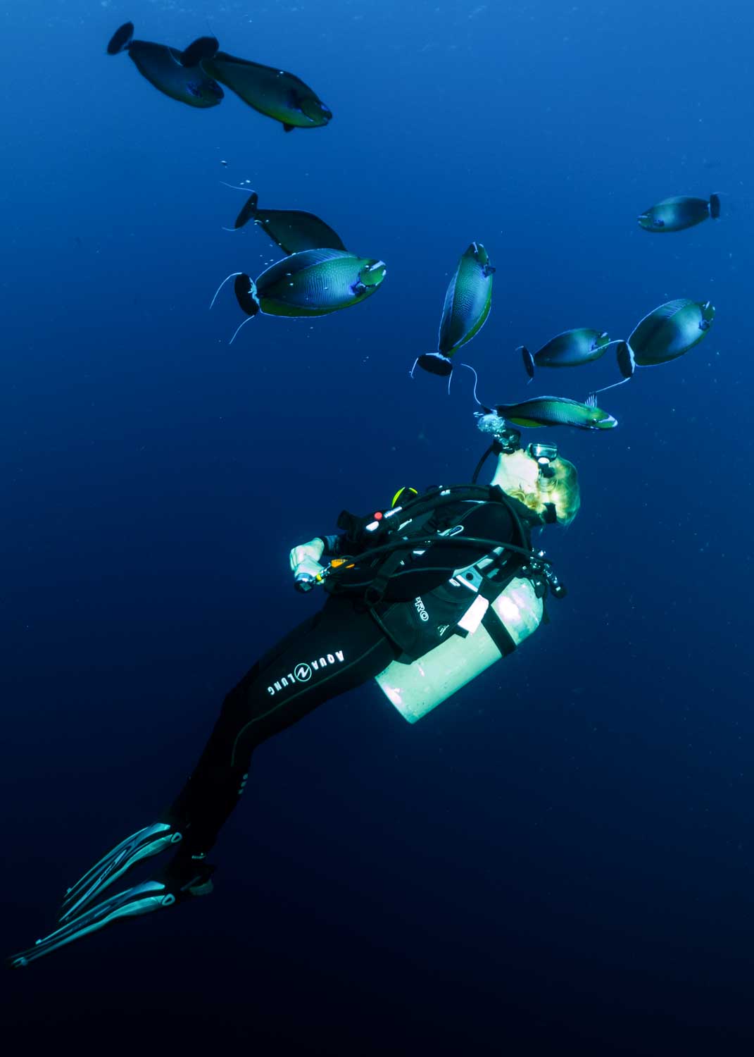 Scuba diver among fish in deep blue ocean, exploring underwater life.