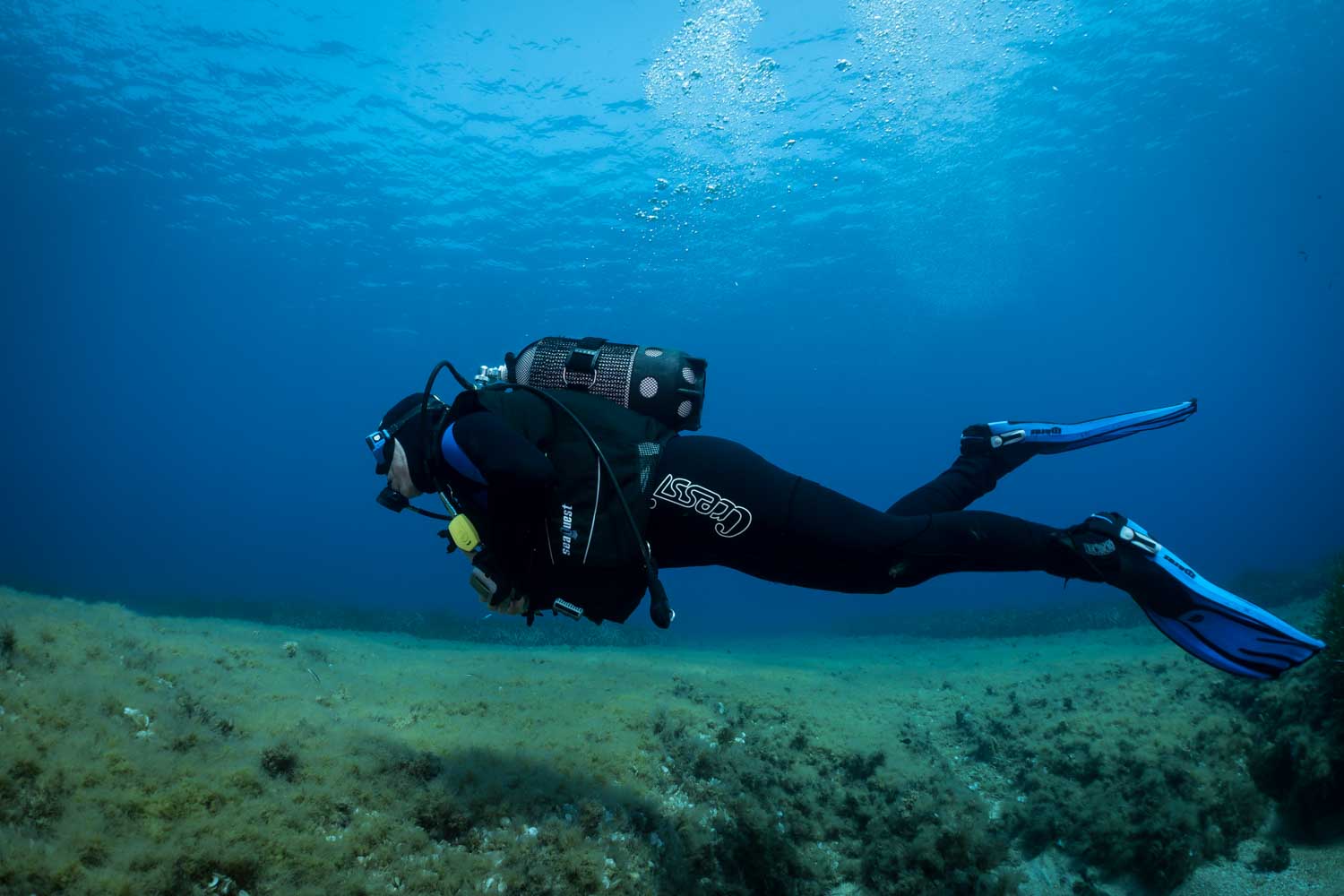 Scuba diver exploring underwater landscape with algae, wearing black wetsuit and blue fins.