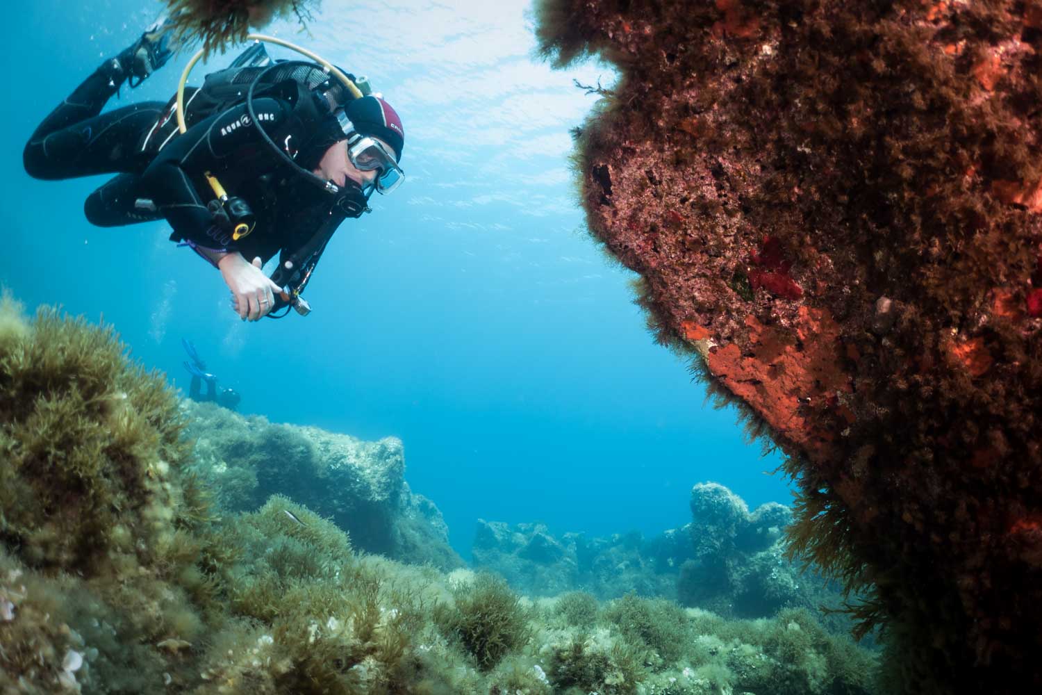 Scuba diver exploring vibrant coral reef underwater with clear blue ocean background.