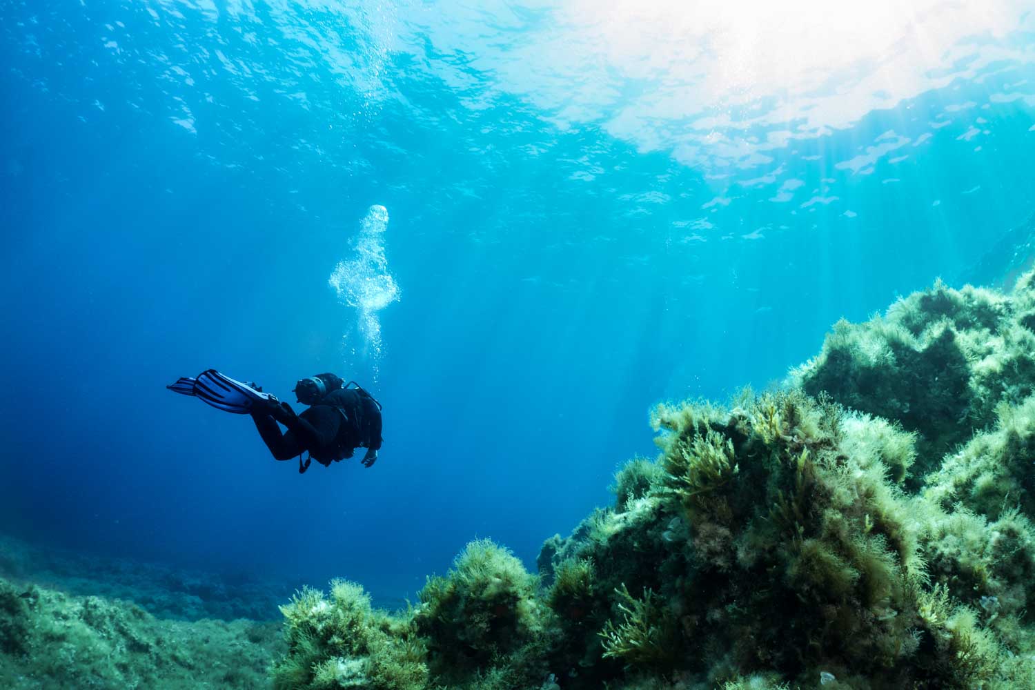 Scuba diver exploring vibrant coral reef underwater, with sunlight streaming through clear blue ocean water.