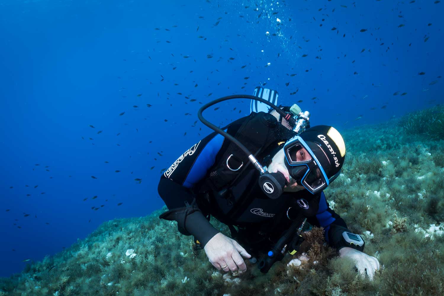 Scuba diver exploring a vibrant underwater seascape with fish in the background, wearing full diving gear.