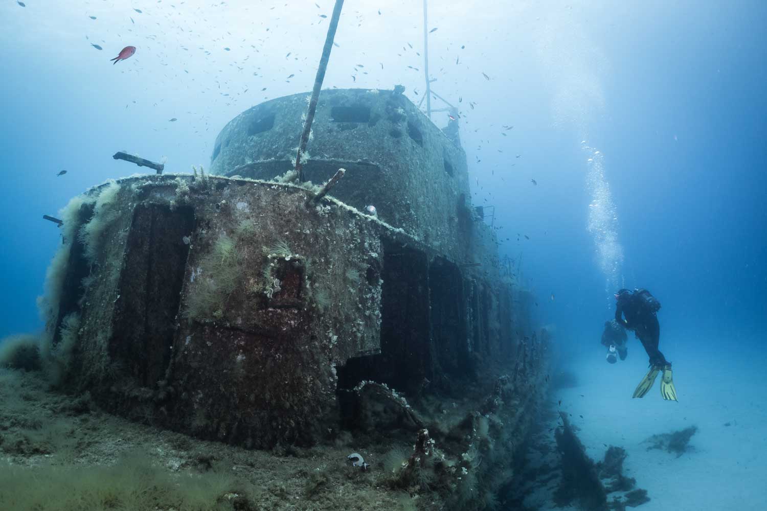 Divers exploring a coral-covered shipwreck on the ocean floor, surrounded by fish and marine life.