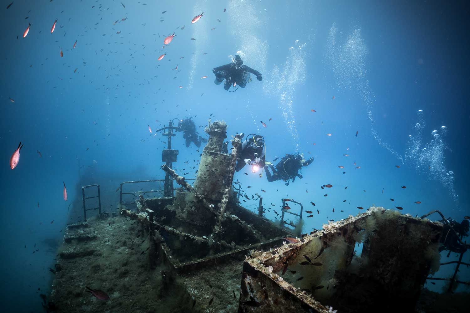 Divers explore a fish-filled shipwreck underwater, surrounded by coral and marine life.