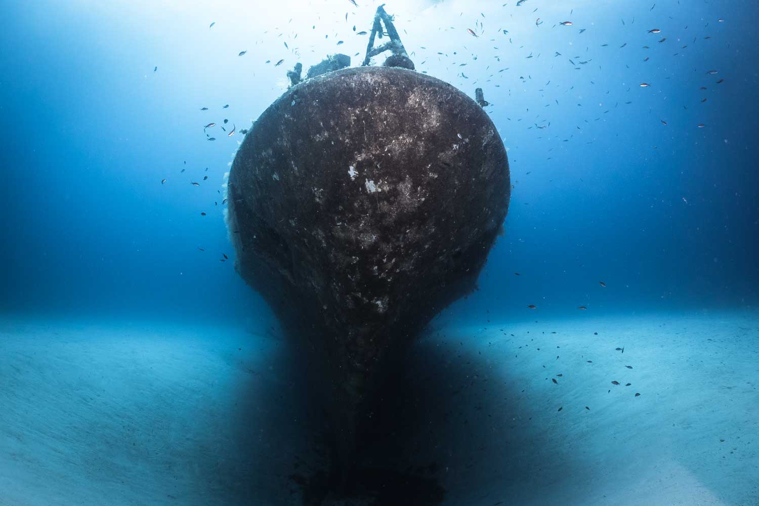 Underwater view of a large shipwreck with marine life swimming around its hull on the ocean floor.