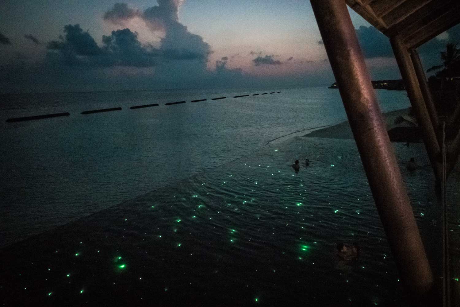 Nighttime beach with bioluminescent water, swimmers, and silhouetted clouds under a dark sky near a wooden structure.