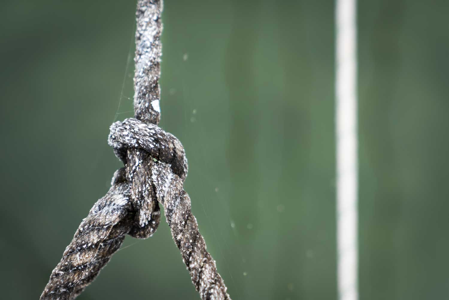 Close-up of a frayed rope knot with a green blurred background.