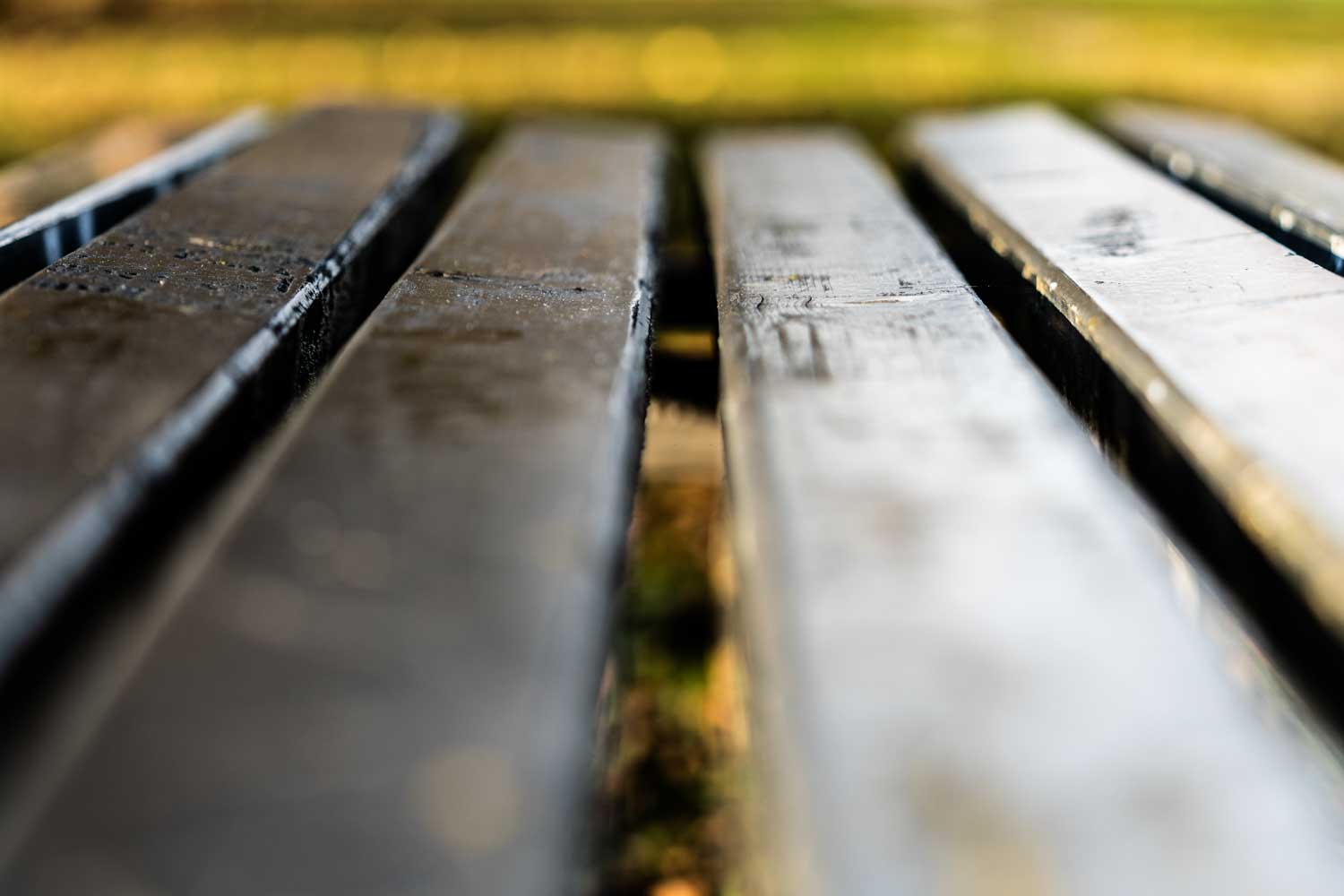 Close-up of a damp wooden park bench with blurred green background, suggesting a fresh outdoor setting.