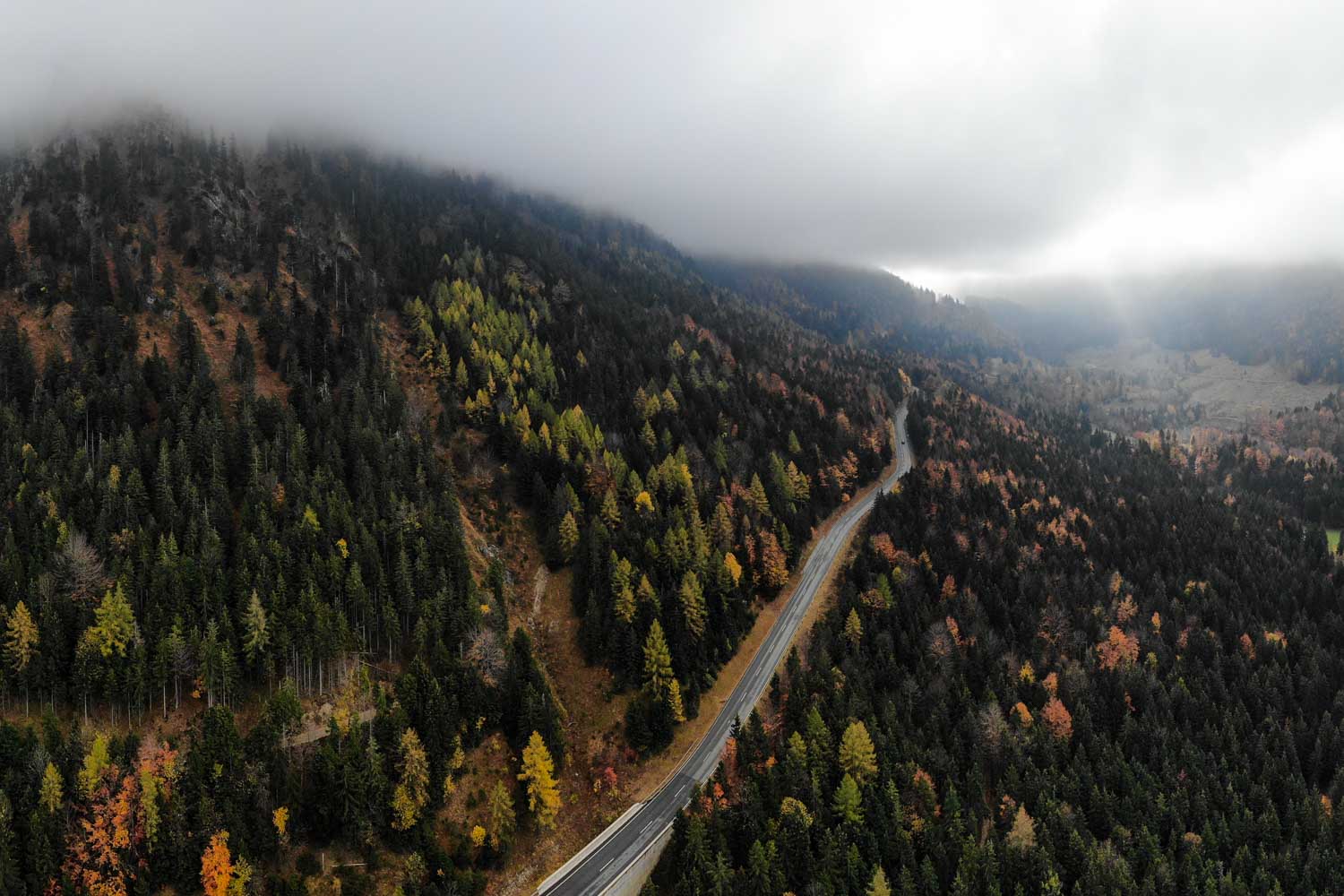 Winding road through misty autumn forest with colorful trees and a foggy mountain backdrop.