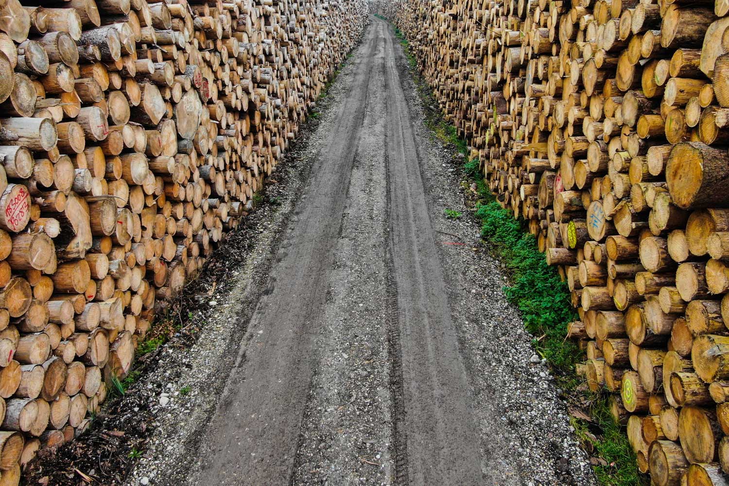 Dirt path lined with stacked wooden logs on both sides, creating a narrow passage.
