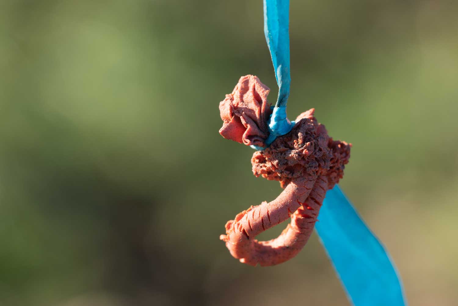 Close-up of a red clay dragon figurine tied with blue ribbon against a blurred green background.