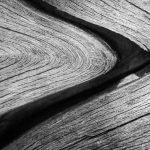 Close-up of aged wood grain texture with intricate patterns and natural grooves in black and white.