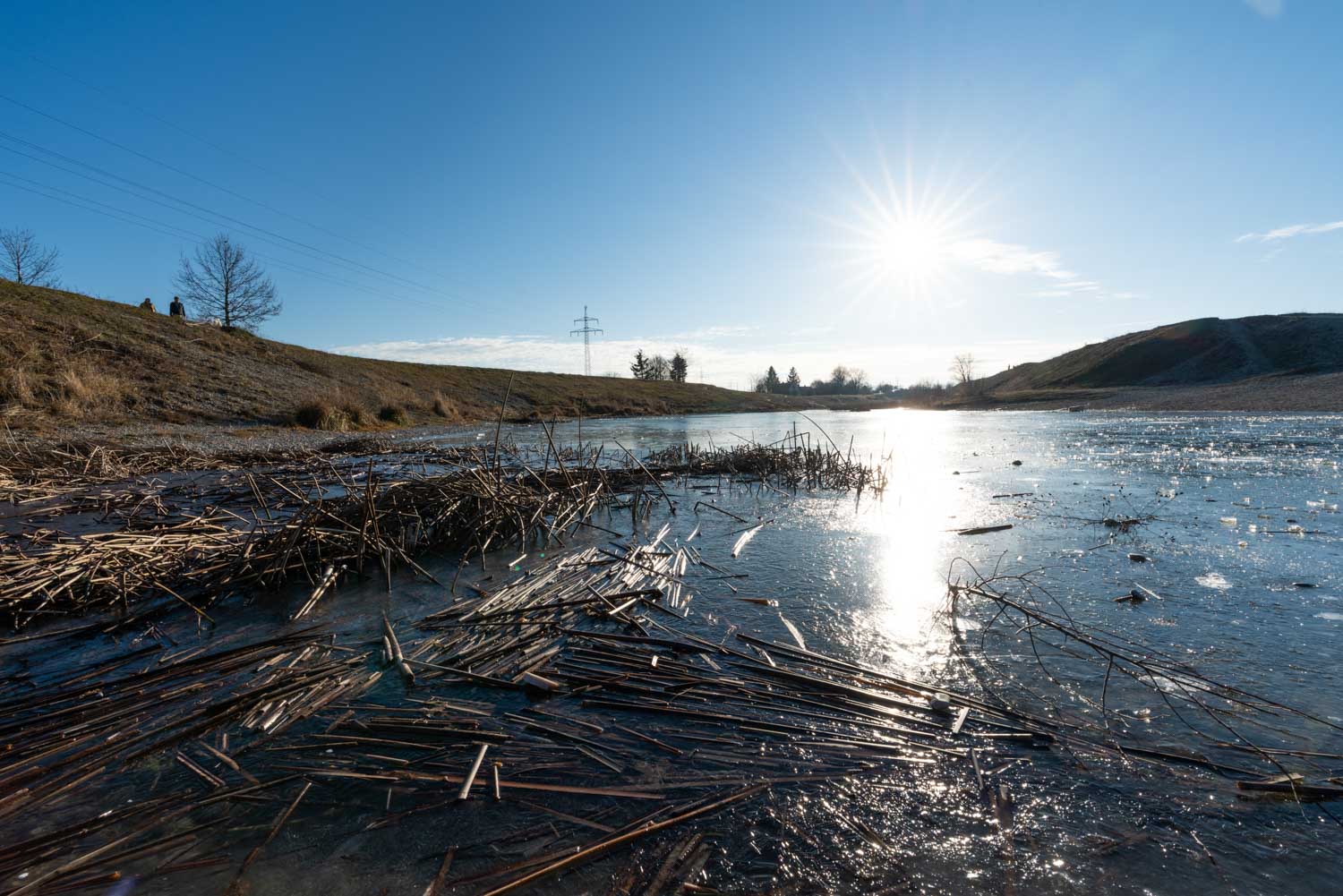 Frozen pond with dry reeds under a bright sun, surrounded by grassy hills and a clear blue sky.
