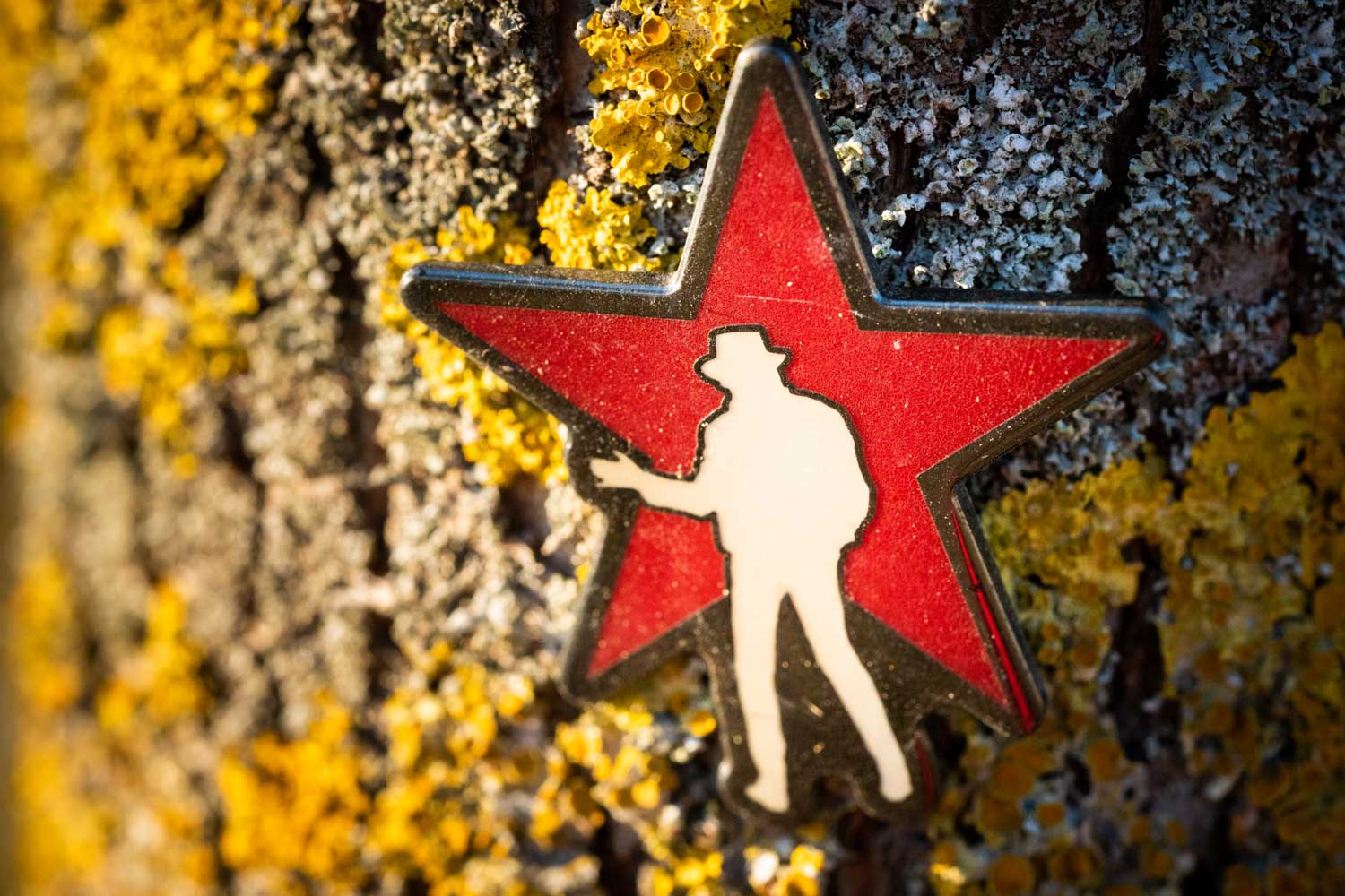 Red star badge with silhouette of a man in hat on lichen-covered tree bark.