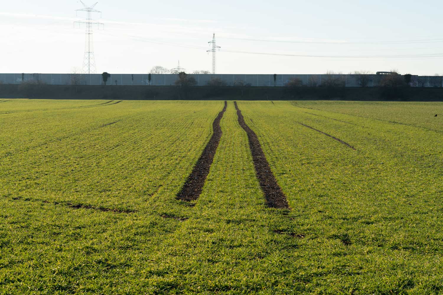Wide green field with tire tracks leading to a distant barrier, under a clear blue sky with power lines in the background.