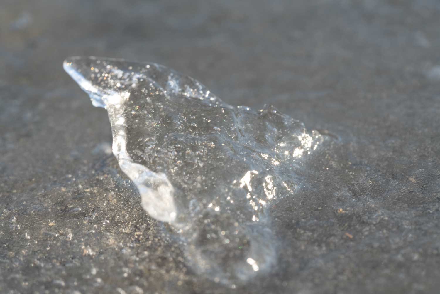 Close-up of a clear, glistening ice fragment on a gray surface, capturing sunlight reflections.