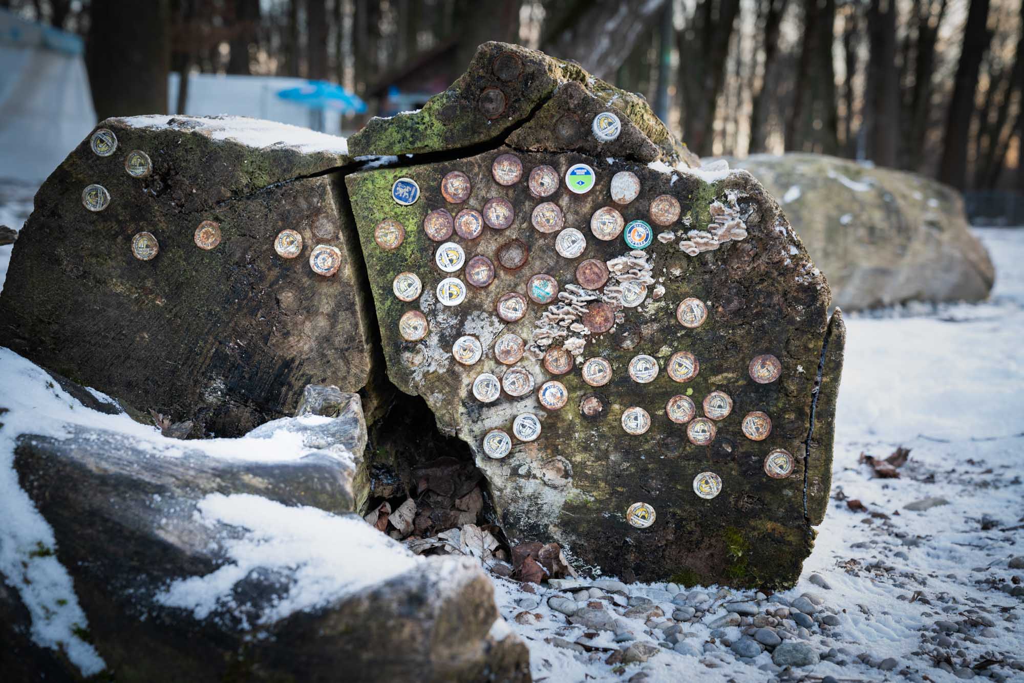 Rock covered with assorted bottle caps and light snow in a wooded area, creating a unique outdoor art display.