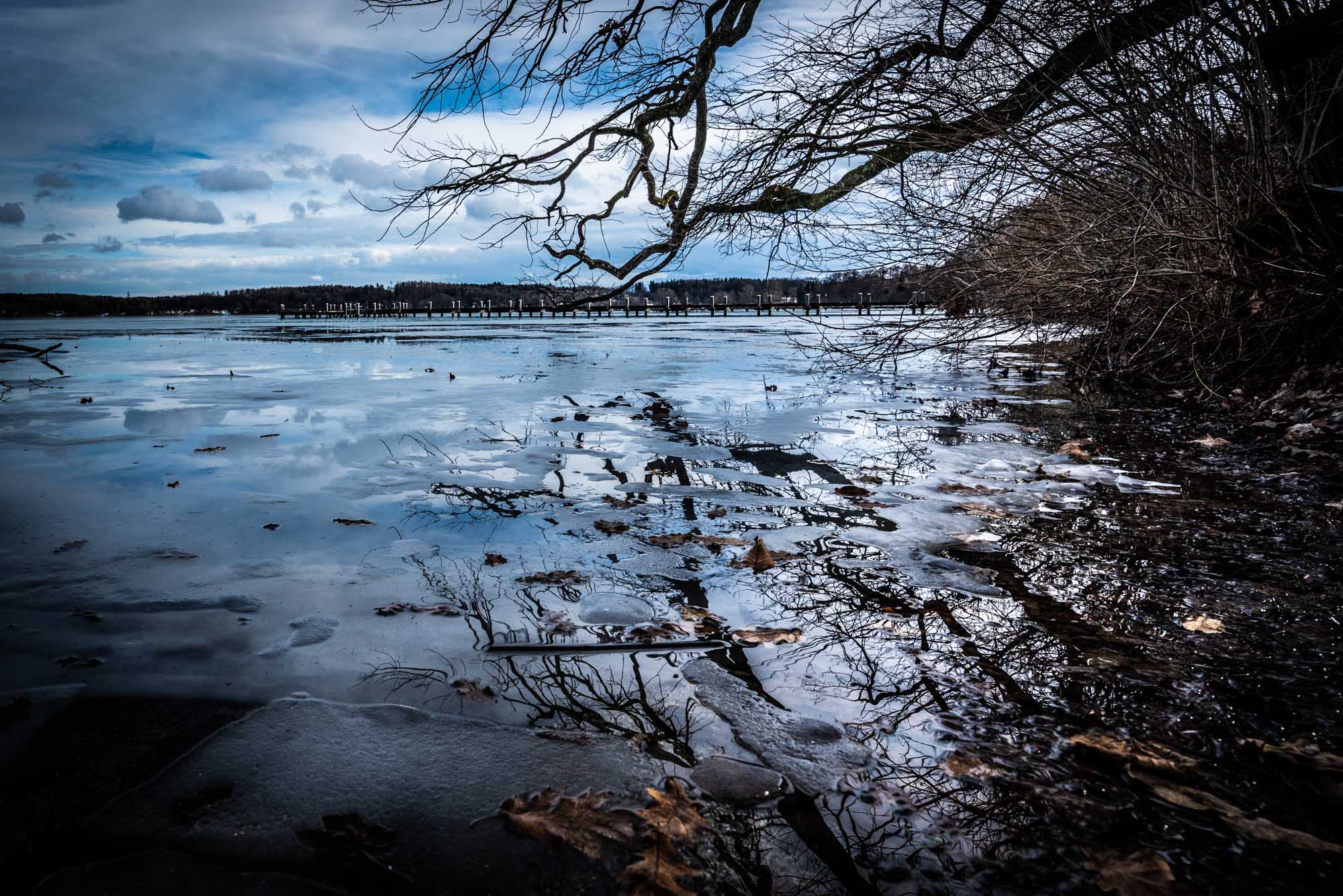 Frozen lake with bare trees and overcast sky reflecting on icy water near a shoreline under a cloudy blue sky.