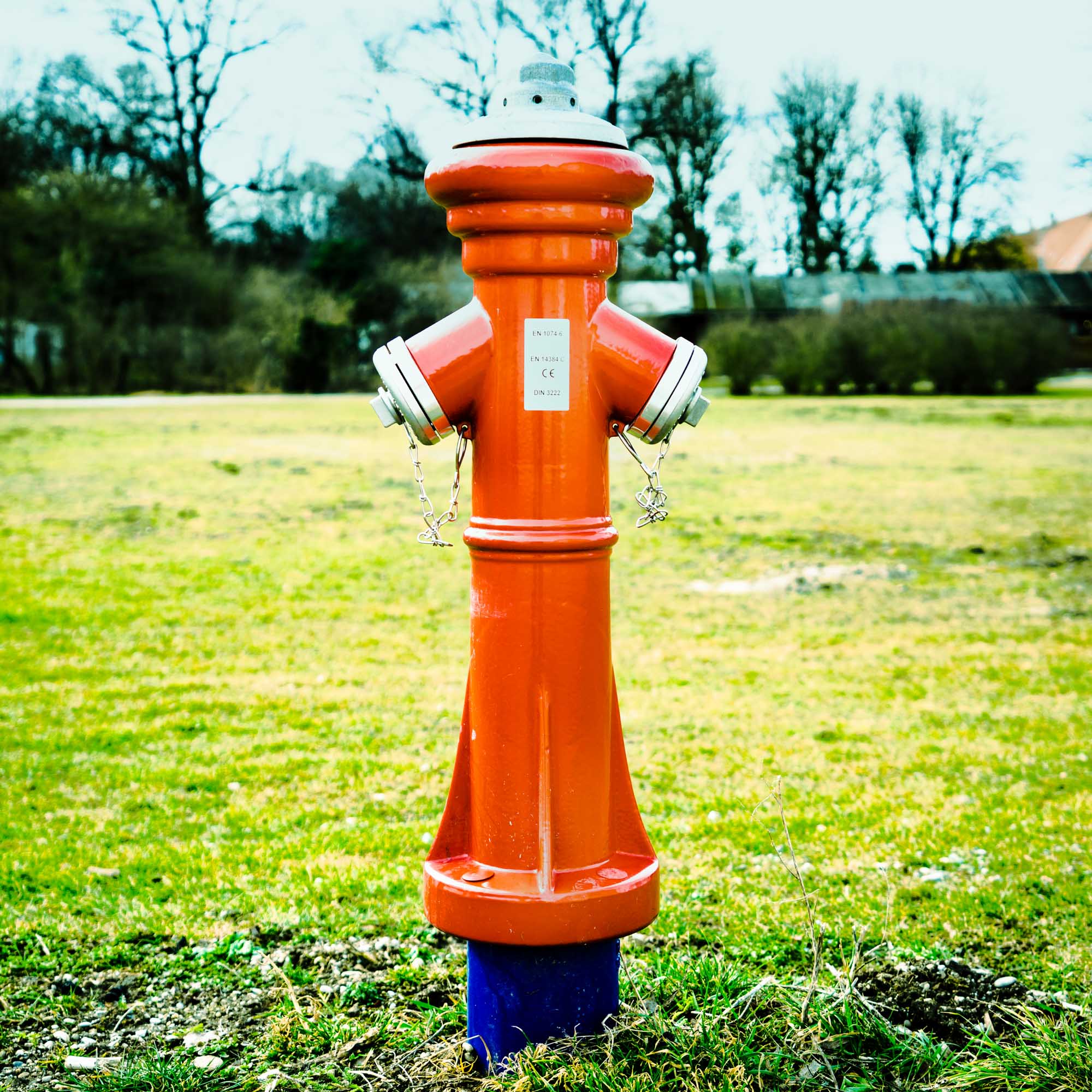 Bright red fire hydrant on a grassy field, surrounded by trees in the background.