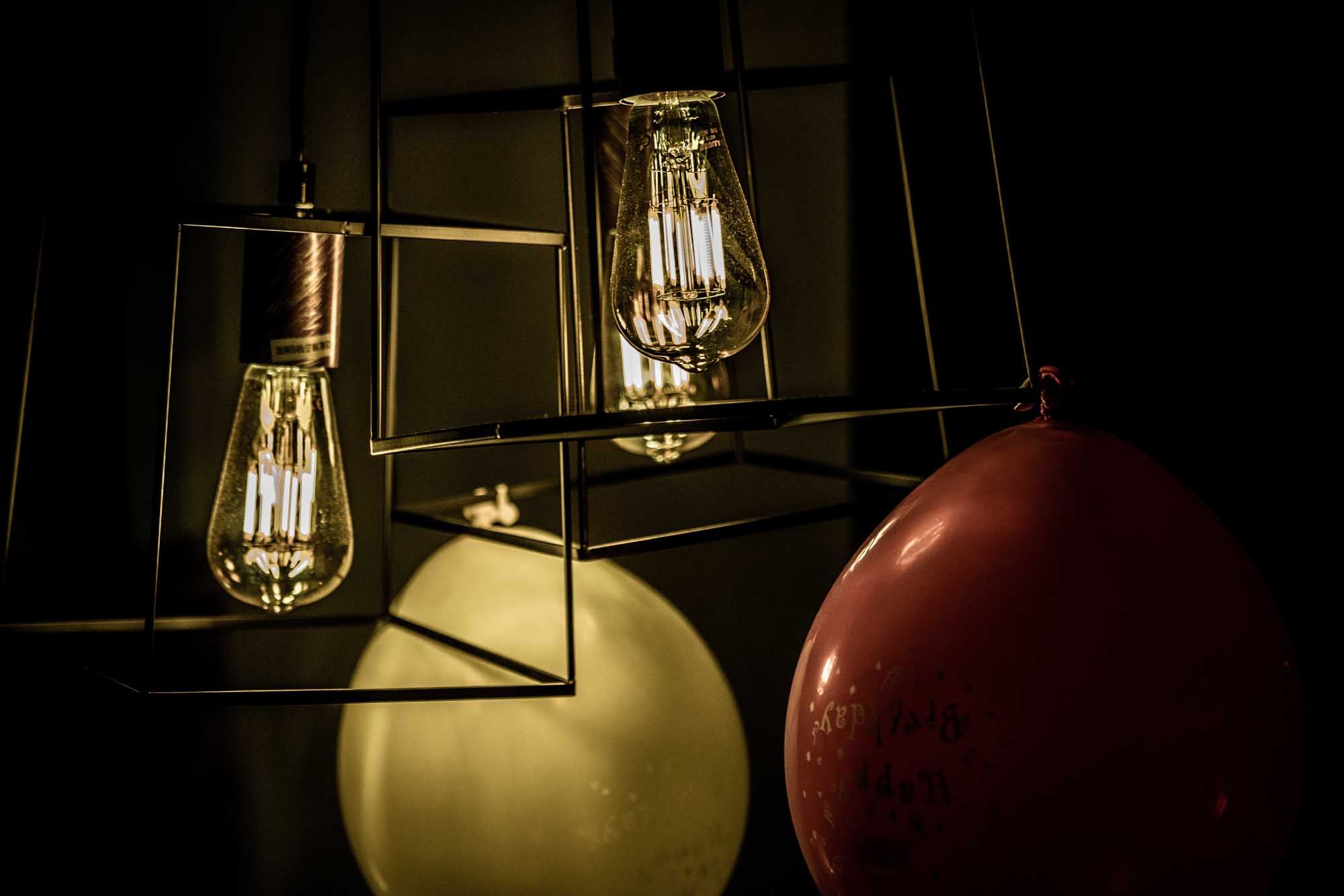 Closeup & Garden Macro – Patterns of Light and Life