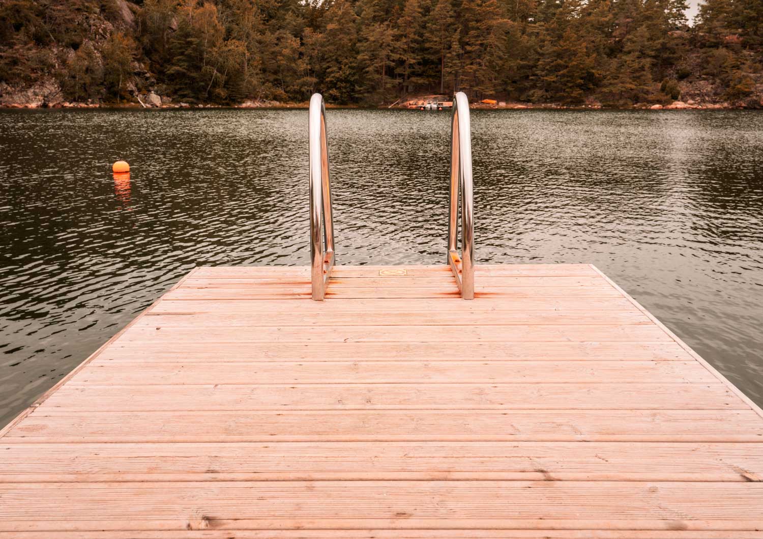 Wooden dock with metal ladder leading into calm lake, surrounded by dense forest.