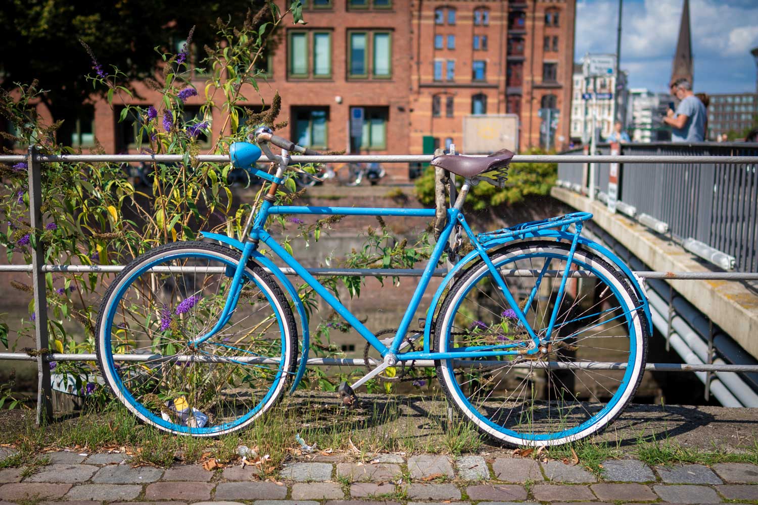 Blue vintage bicycle chained by green plants near a cobblestone path, with a scenic urban background.