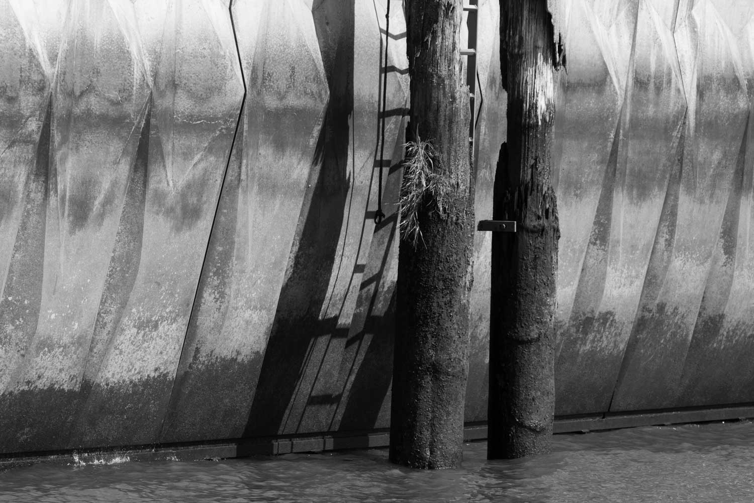 Black and white photo of textured concrete wall with wooden pillars and water in the foreground.