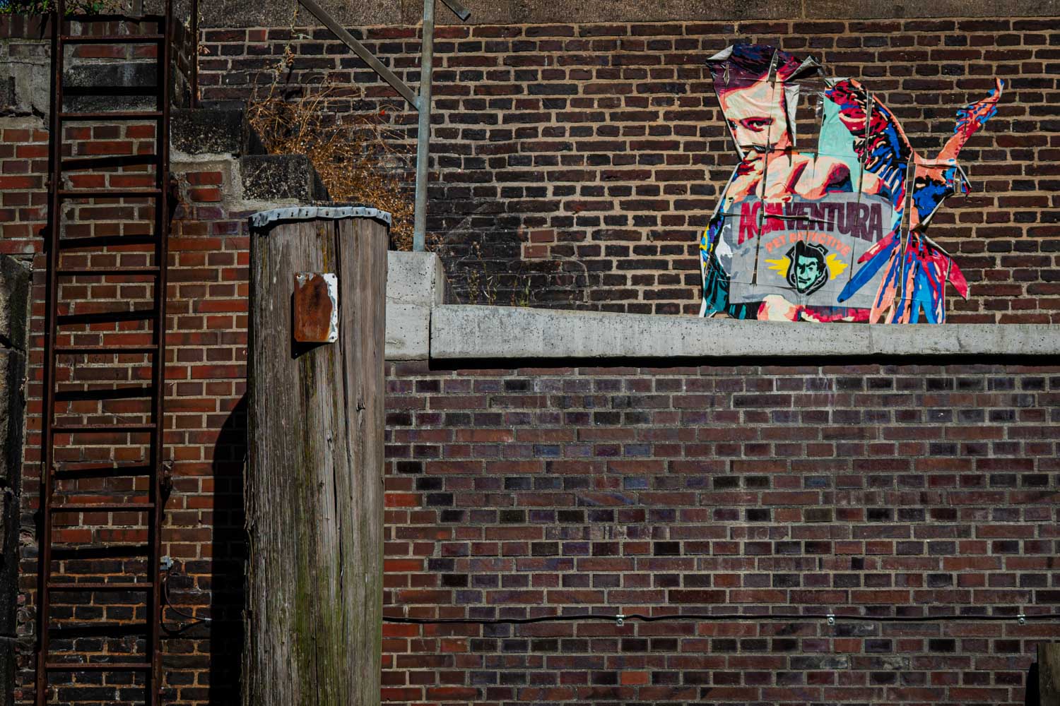 Colorful street art depicting a character with a bird on a brick wall beside a rusty ladder.