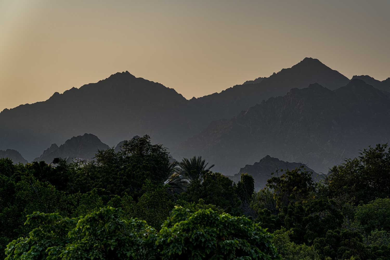 Sunset over silhouetted mountains and lush green forest, capturing serene natural beauty and tranquility.