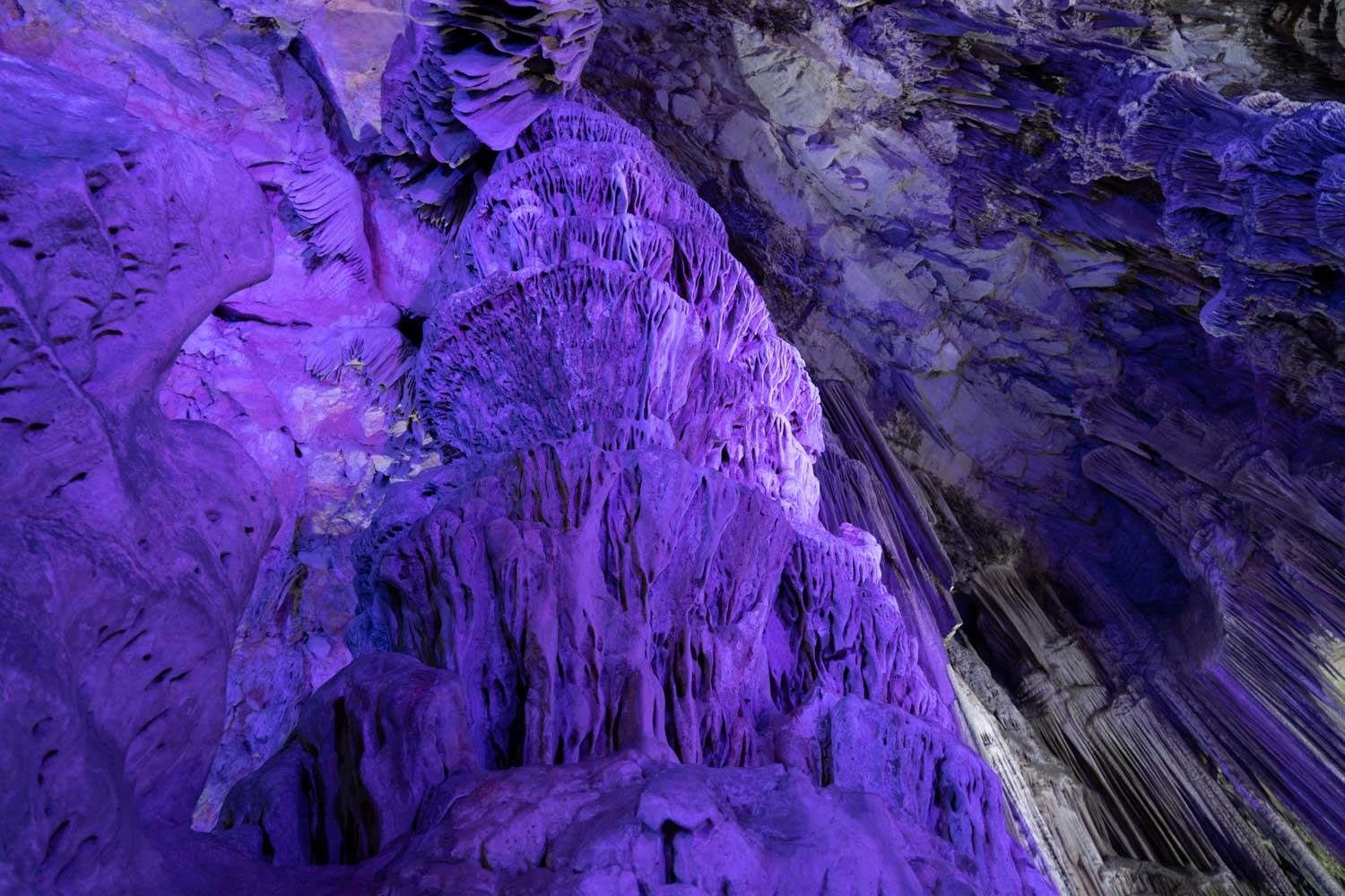 Vibrant purple-lit cave formations with intricate stalactites and stalagmites creating a stunning underground landscape.