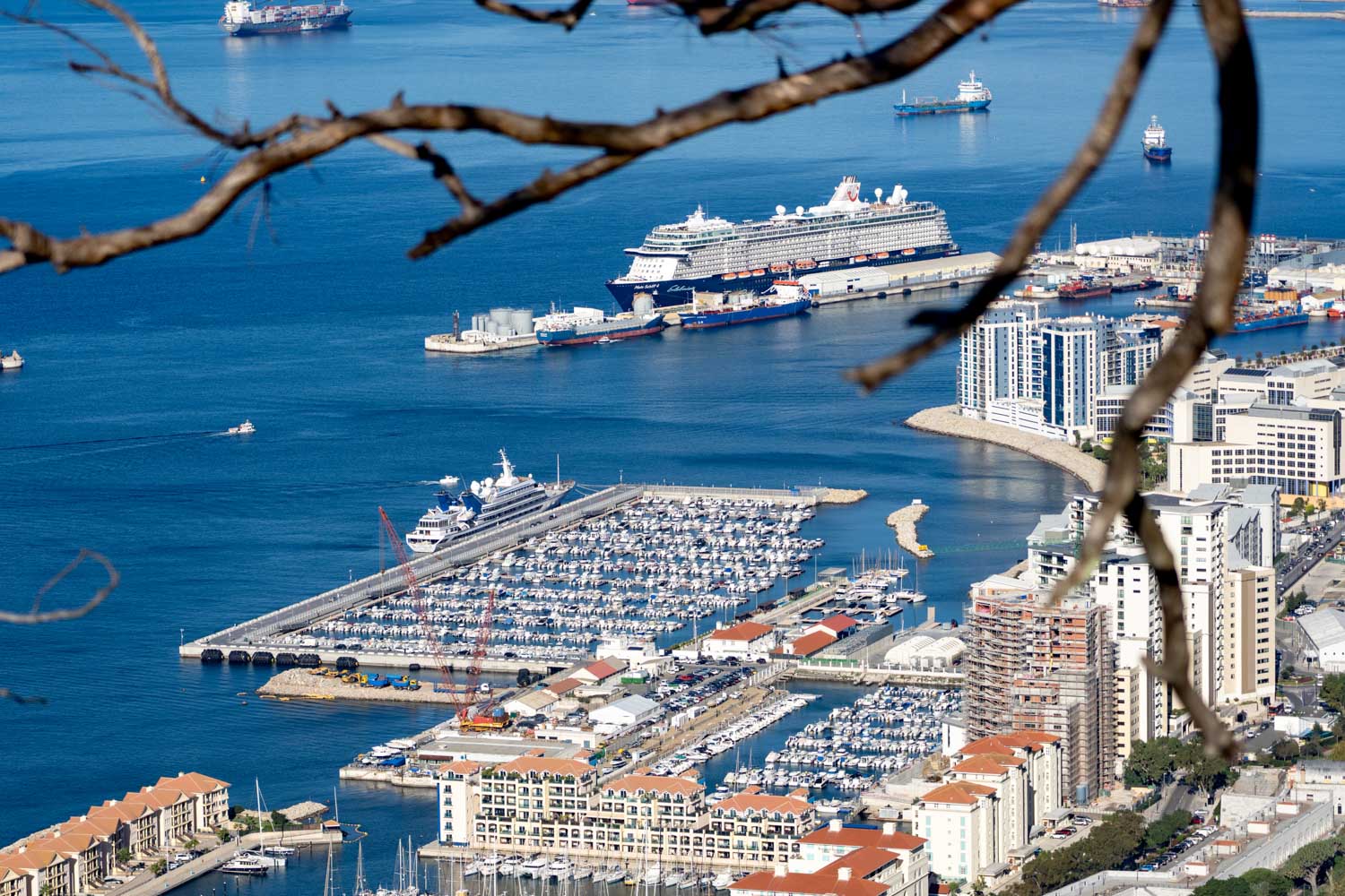 Aerial view of a busy port with cruise ships, yachts, and modern city buildings along the coastline.