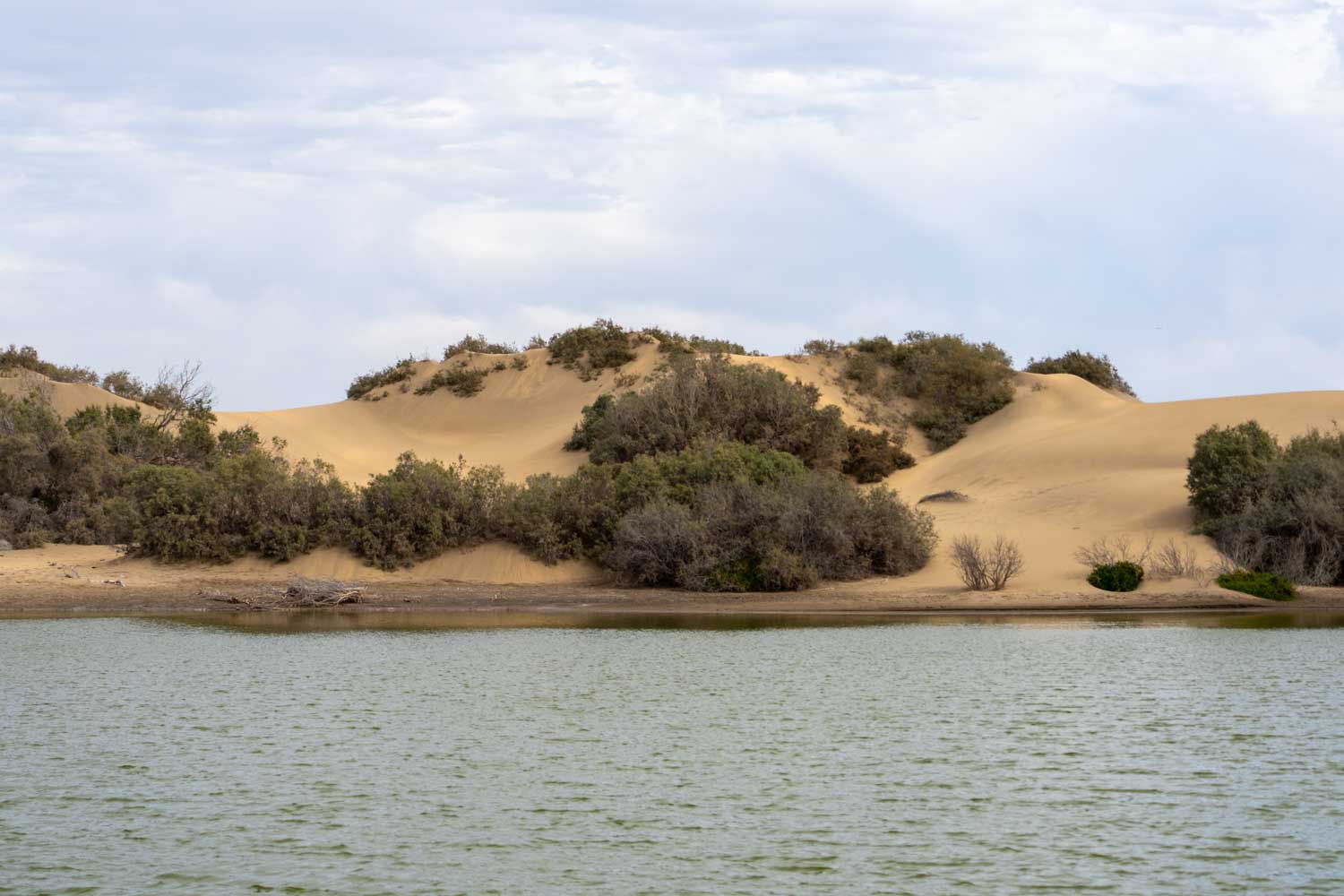 Serene landscape of desert dunes with scattered shrubs reflected in a calm lake under a cloudy sky.