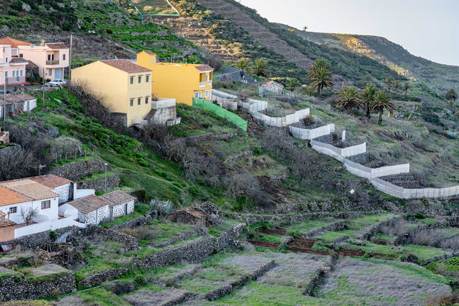 Houses on a lush hillside with terraced fields and palm trees, under a clear sky.