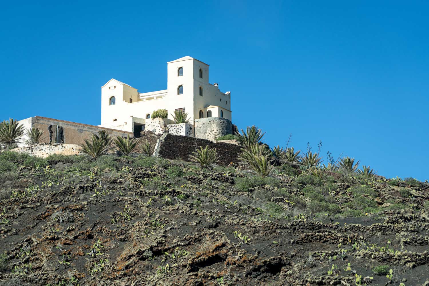 White villa atop a desert hillside with palm trees and cacti under a clear blue sky.