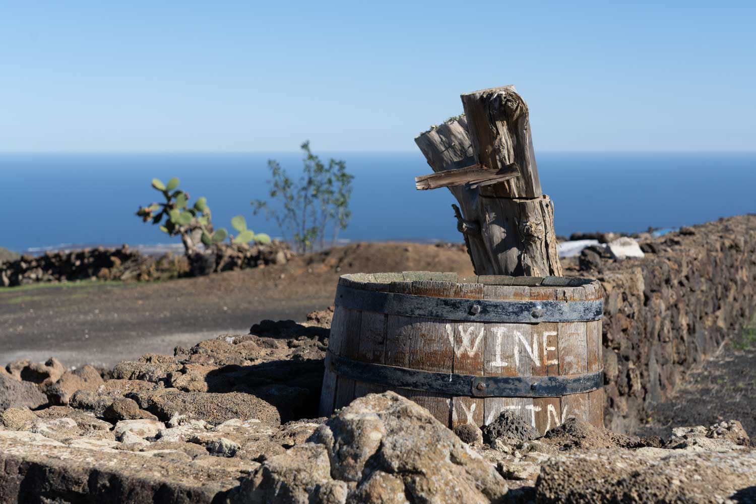 Rustic wine barrel planter with driftwood on a stone wall overlooking the ocean and cactus in the background.
