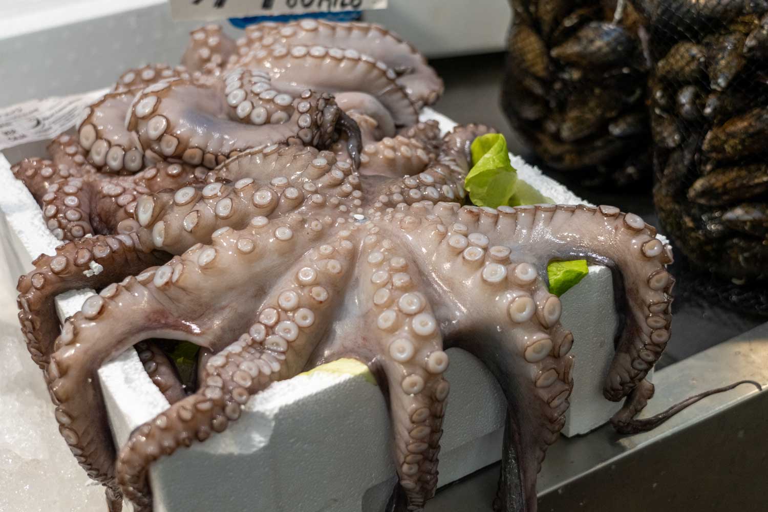 Fresh octopus displayed in a white crate with ice at a seafood market, tentacles spread over the edges.