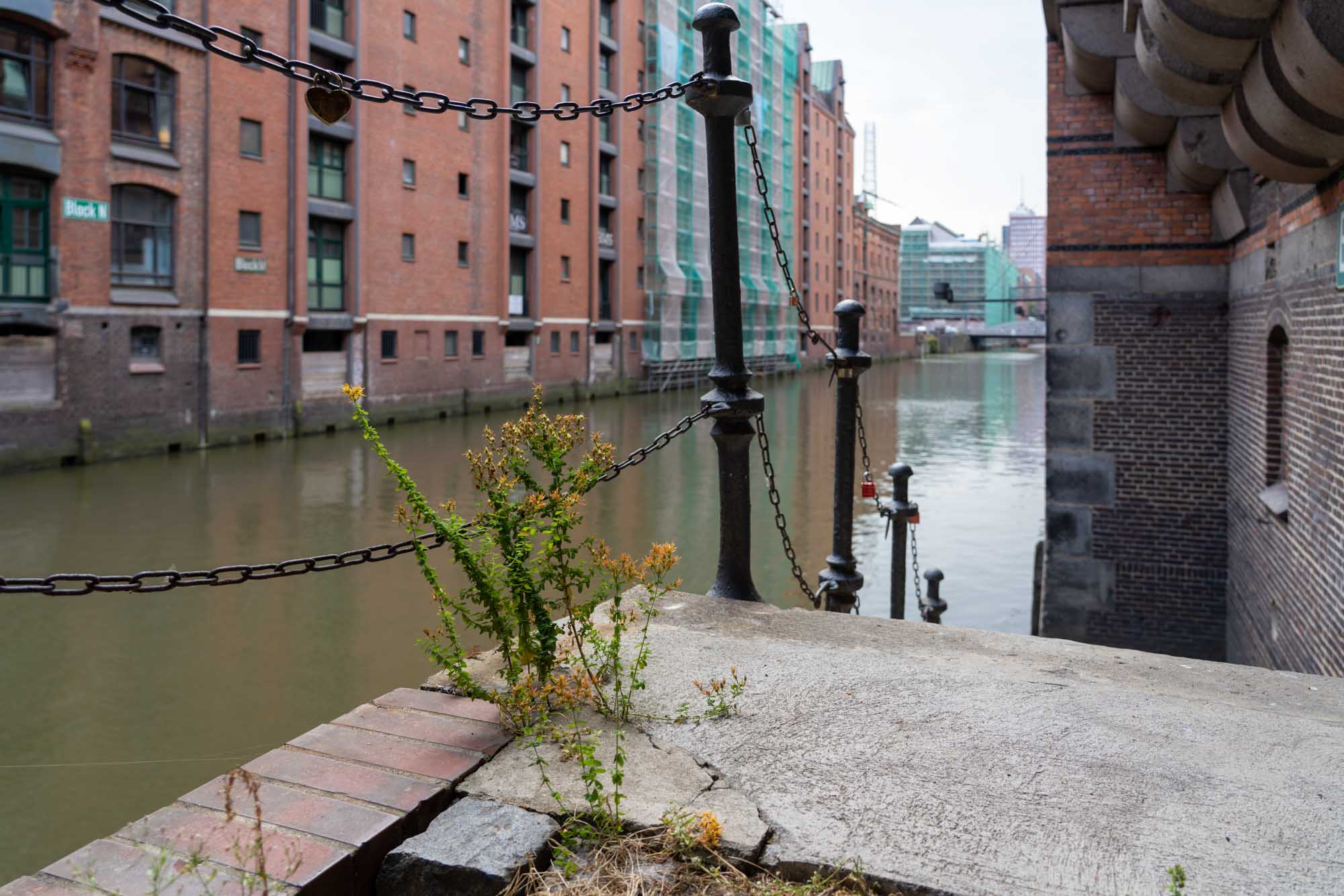 Canal view with red brick buildings, iron chains, heart padlock, and plants growing through cracked pavement.
