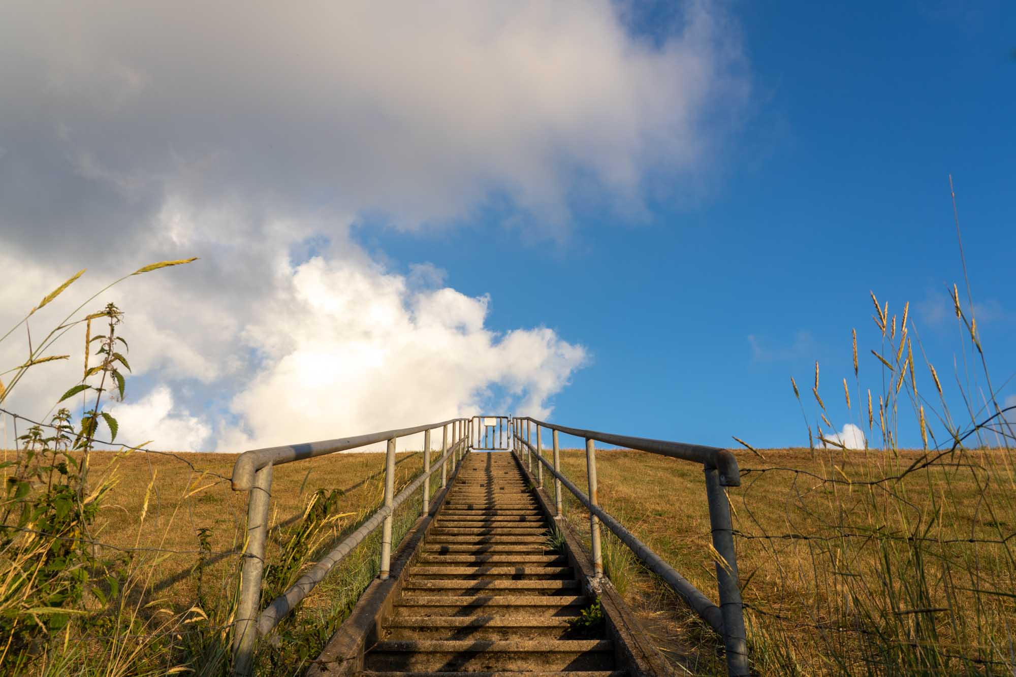 Staircase leading up a grassy hill under a blue sky with fluffy clouds, surrounded by tall grass.