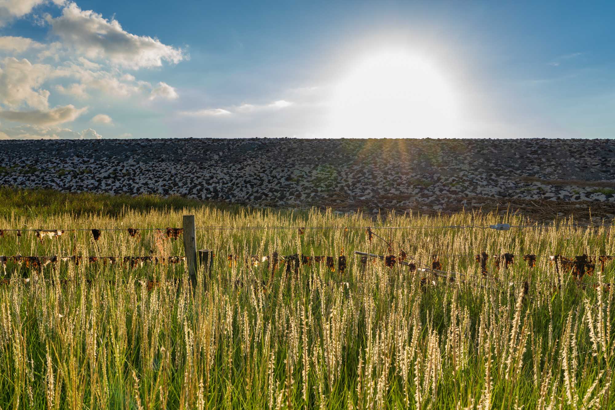 Sunset over a grassy field with a rock wall and blue sky, creating a serene rural landscape.