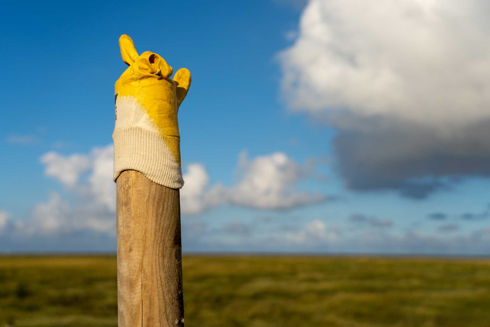 Yellow glove on a wooden post against a cloudy blue sky and grassland background.