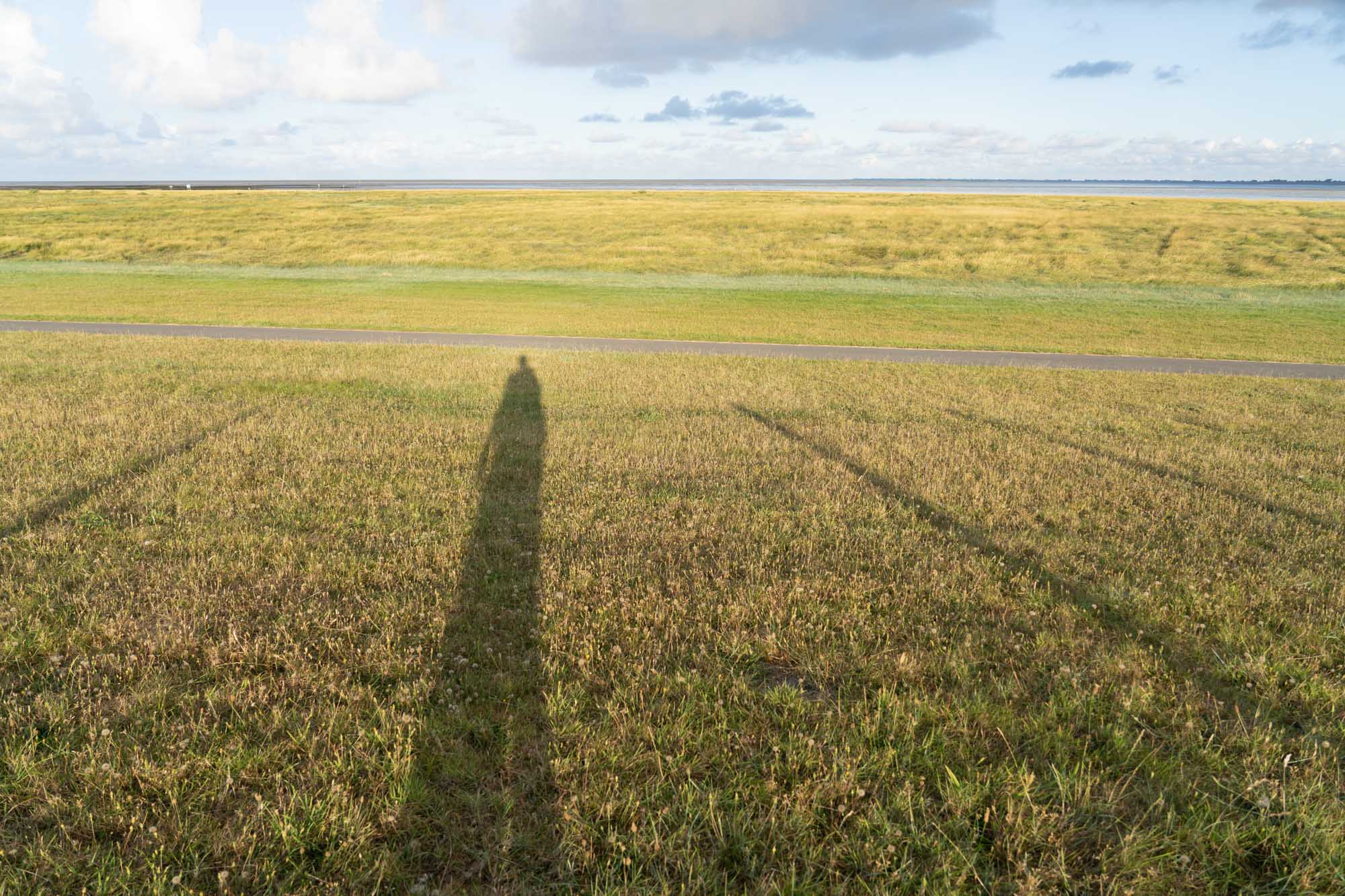 Shadow of a person on grassy field under cloudy sky near coastline.