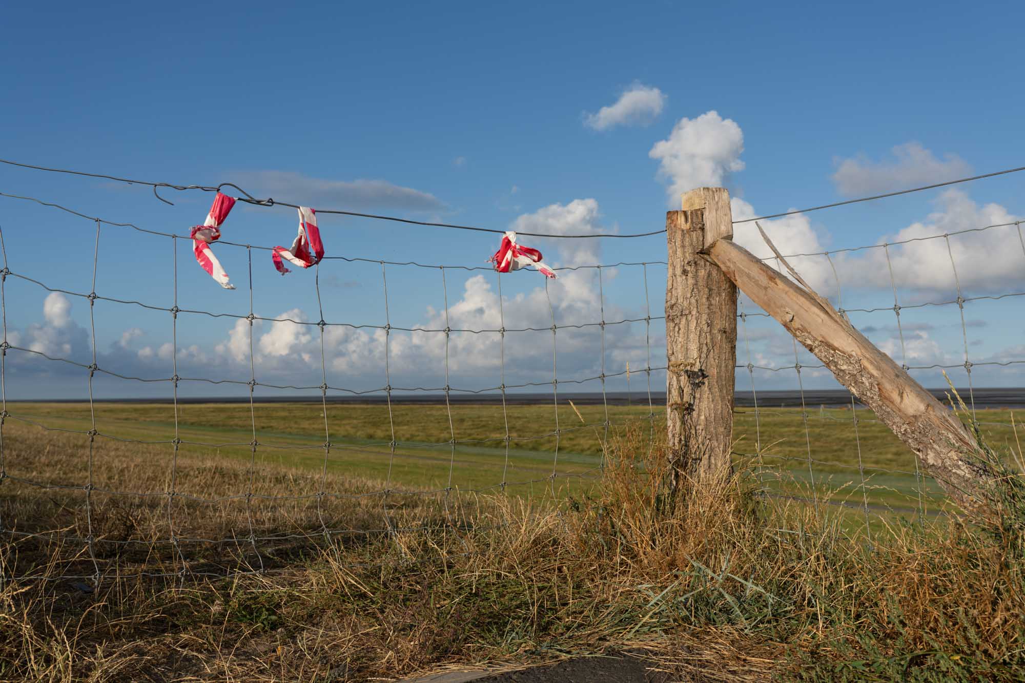 Barbed wire fence with red tape knots on a grassy landscape under a bright blue sky with clouds.