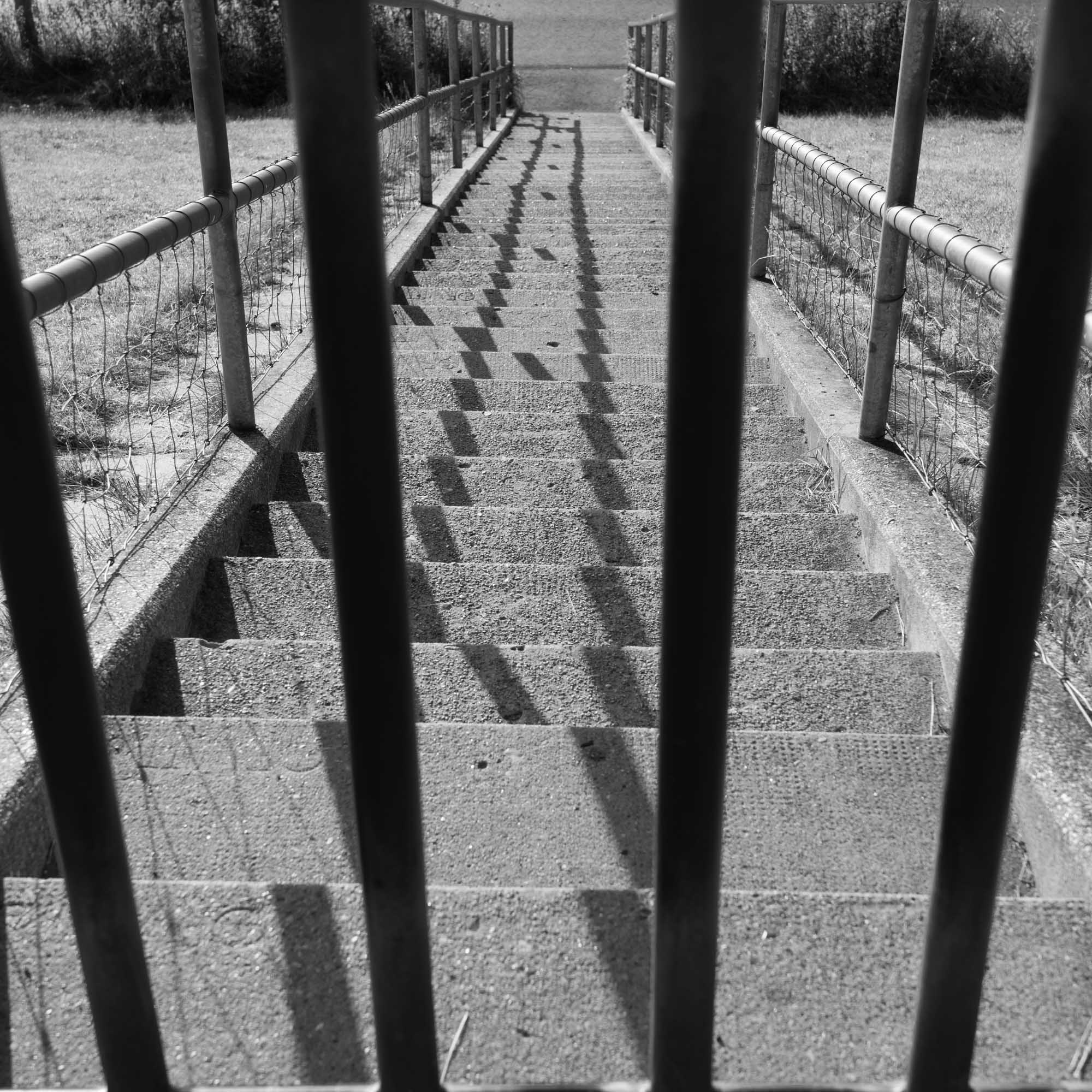 Monochrome view of a staircase with shadows, framed by vertical metal bars, leading to a grassy area.