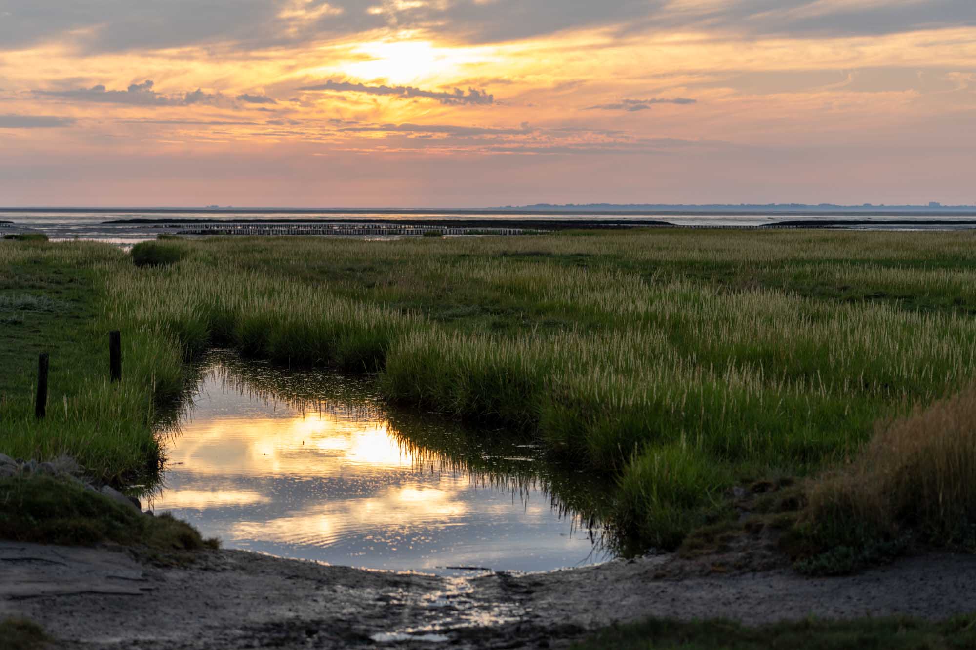 Marshland at sunset with vibrant sky reflecting in calm water channel, surrounded by lush green grass.